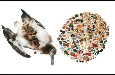 کاربرد مؤثر داده در ترویج - جزوه آموزشی نبض‌ایران ۱۳۹۴